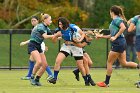 Women's Rugby vs Endicott  Wheaton Women's Rugby vs Endicott College.  Photo by Keith Nordstrom : Wheaton, Rugby, Endicott
